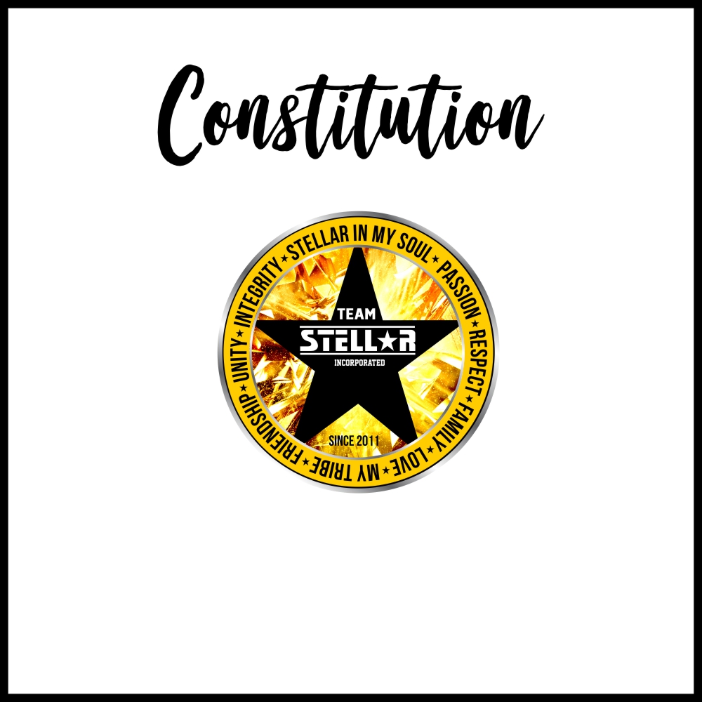 Team Stellar Constitution