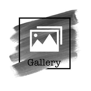 Team Stellar Gallery