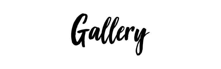 Team Stellar Gallery